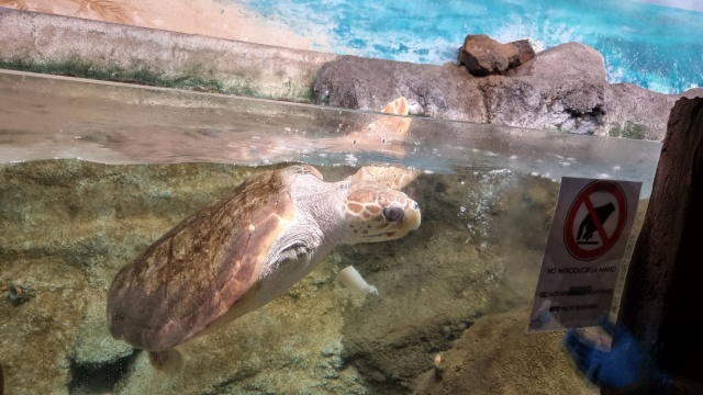 ../images/fotoalbum/lanzarote23/2023-09-18 11.17.58